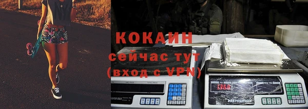 гидра Киреевск