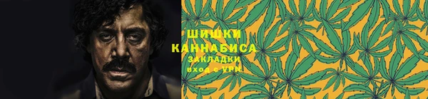 ПСИЛОЦИБИНОВЫЕ ГРИБЫ Кинешма