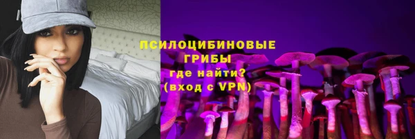 гидра Киреевск