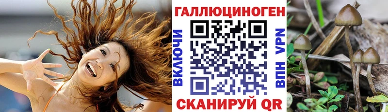 MEGA ссылка  Мариинский Посад  Псилоцибиновые грибы MAGIC MUSHROOMS 