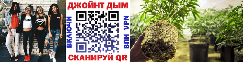 Шишки марихуана ГИДРОПОН  где купить наркоту  Мариинский Посад 